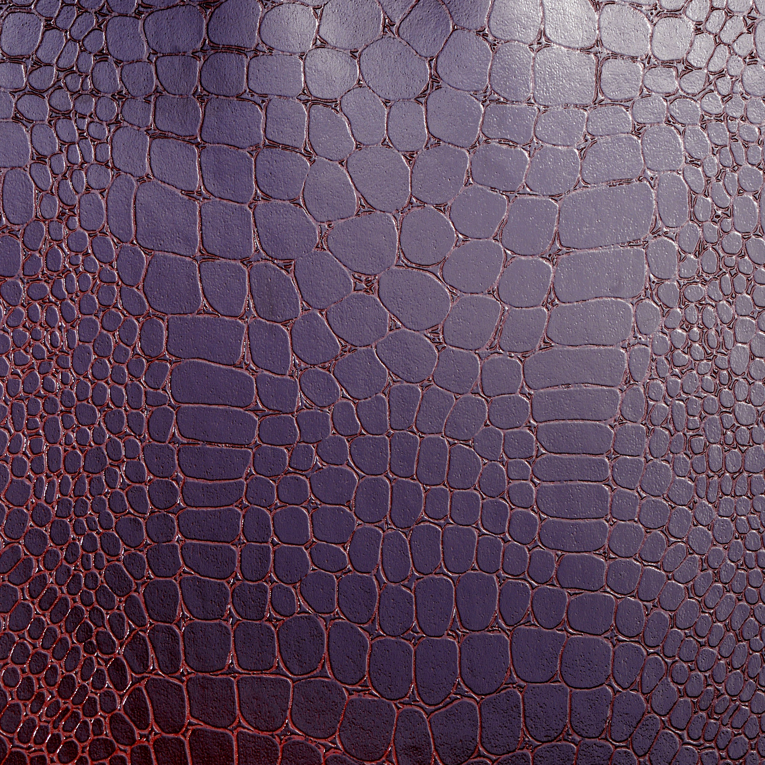 CG5519
